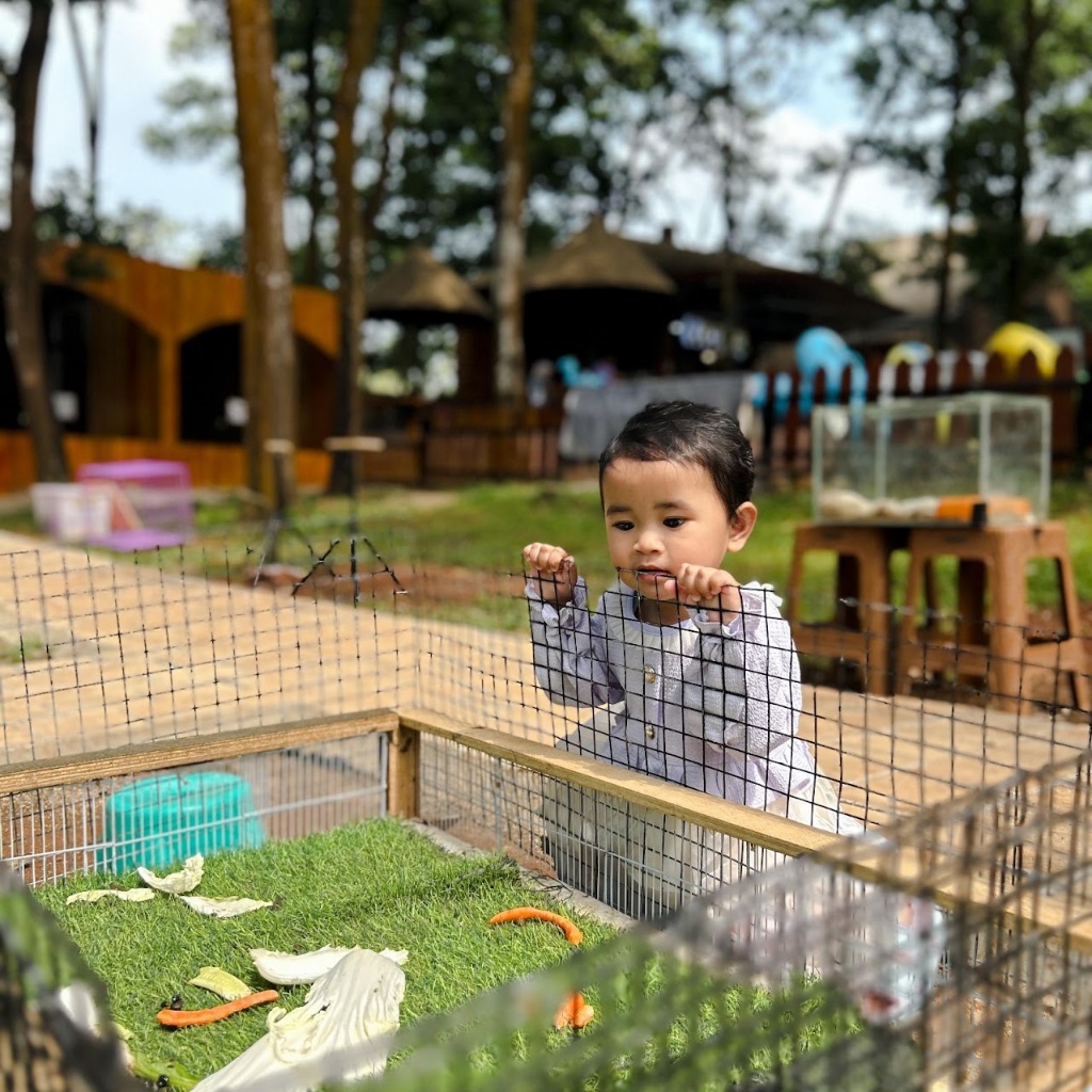 Nimo Highland — galeri 4