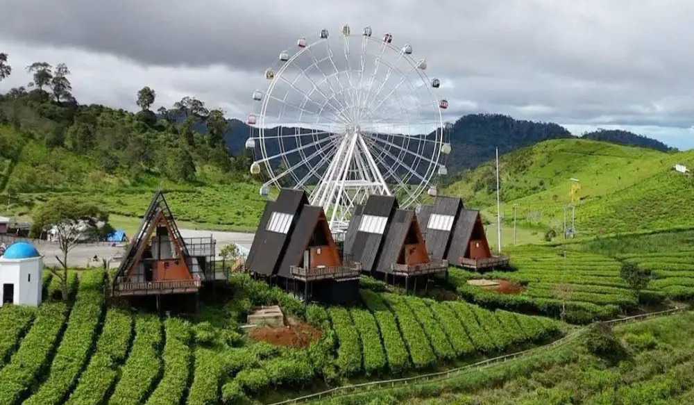Nimo Tea Resort — Lavaza Room