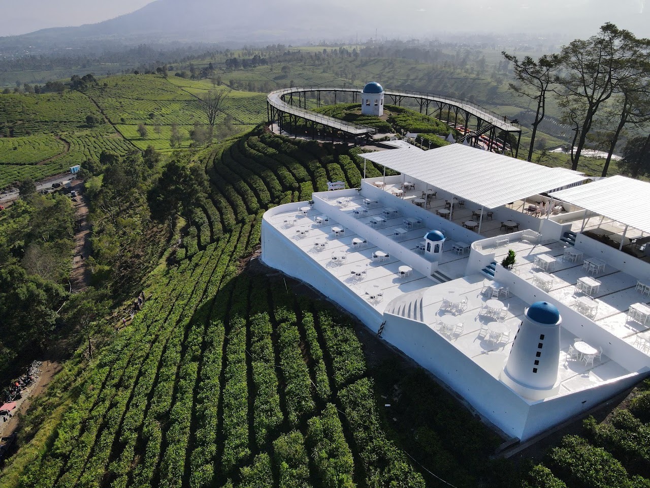 Nimo Tea Resort — 6 Foto Terbaik 5