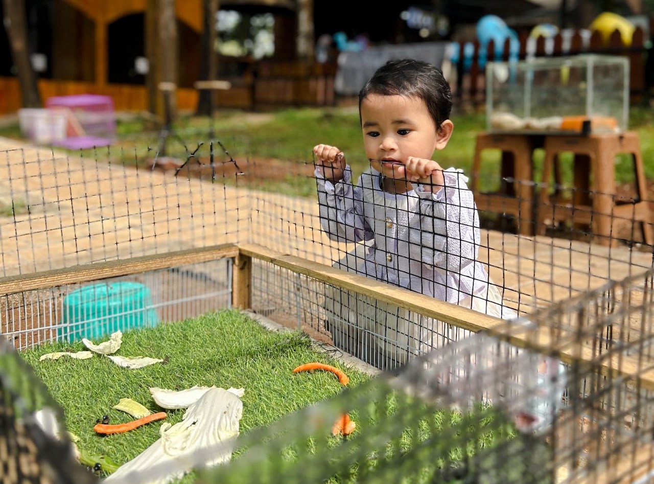 Nimo Water Forest — galeri 1