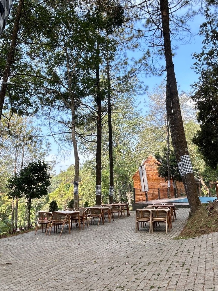 Punceling Park — foto 6